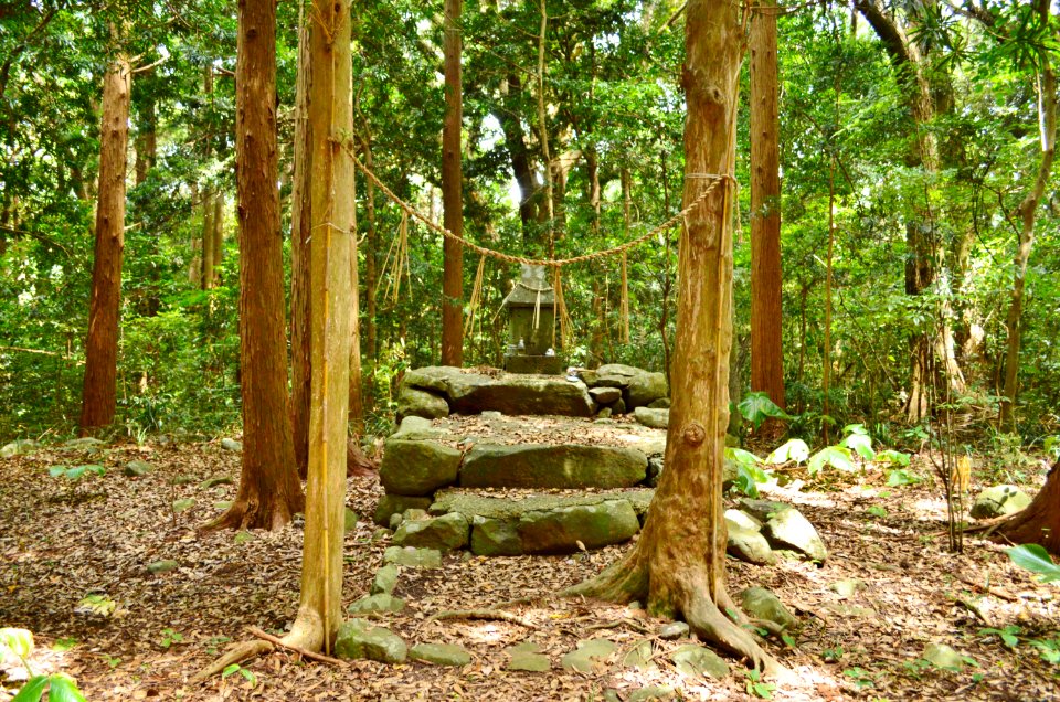 Sousha-jinja (Iki), shaden