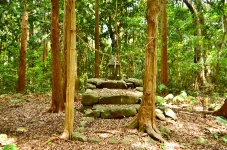 Sousha-jinja (Iki), shaden