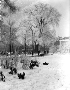 Sneeuwopname Frederiksplein, Bestanddeelnr 902-0599