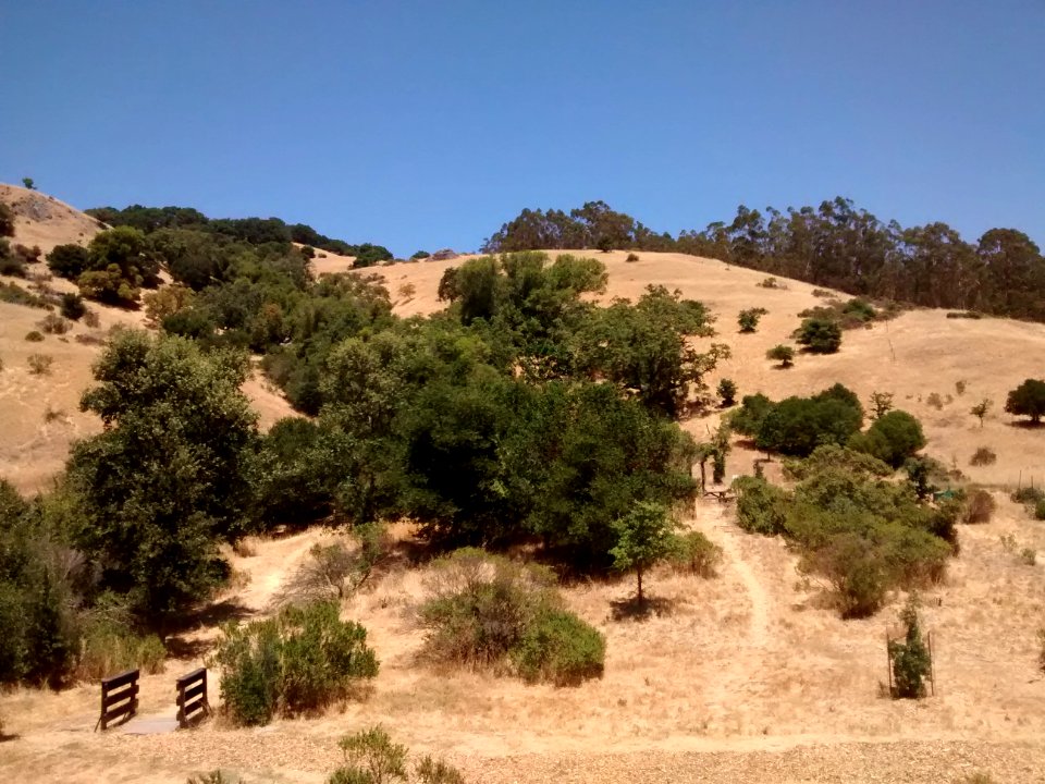 Sorich Ranch Open Space Park