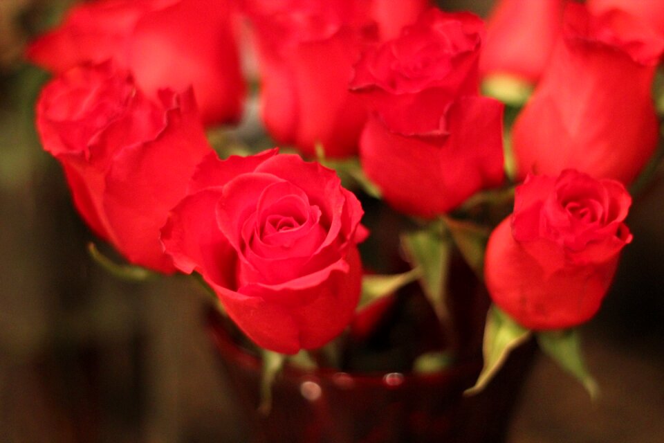 Floral valentine red love