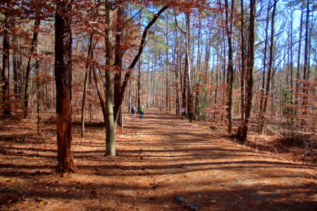 Sope Creek trail December 2019 01