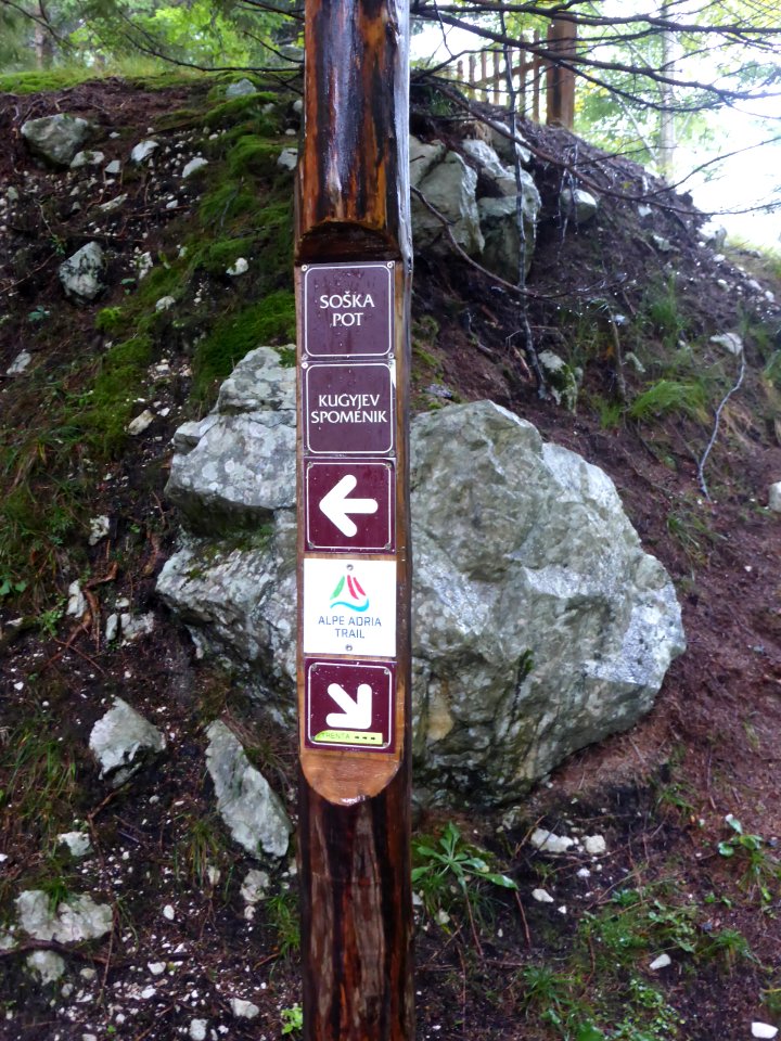 Soca-trail-21