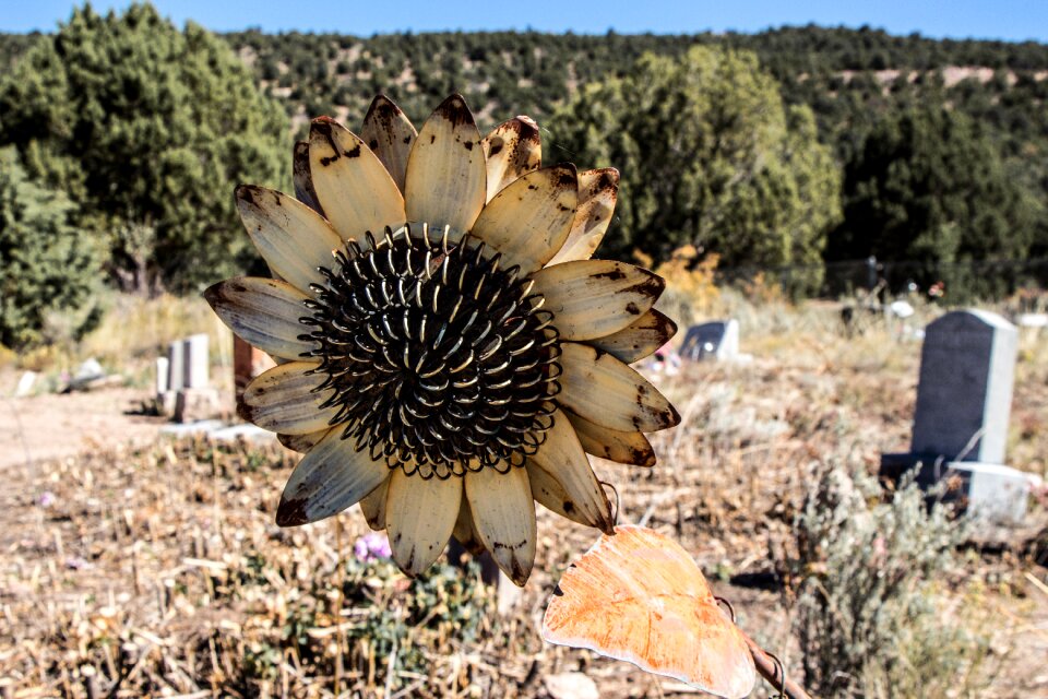Grave graveyard bereavement