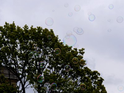Soap bubbles in front of Acer 11