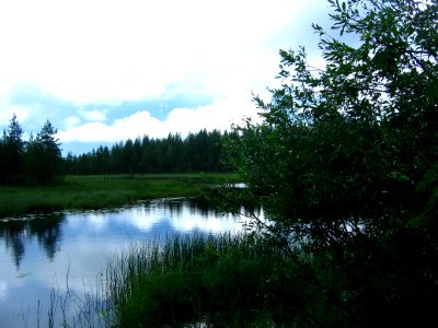 Sorsua creek 2