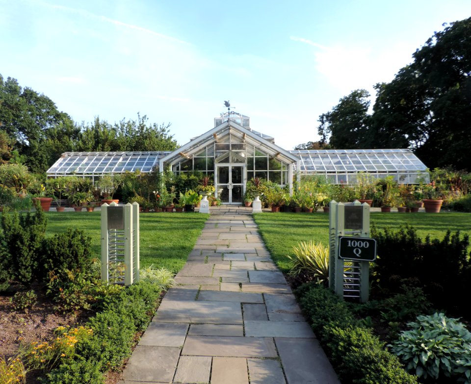 Snug Harbor greenhouse jeh