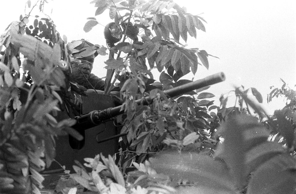 Soemedang. Een tank van het 1ste Eskadron Gevechtswagens in camouflageopstelling, Bestanddeelnr 3842