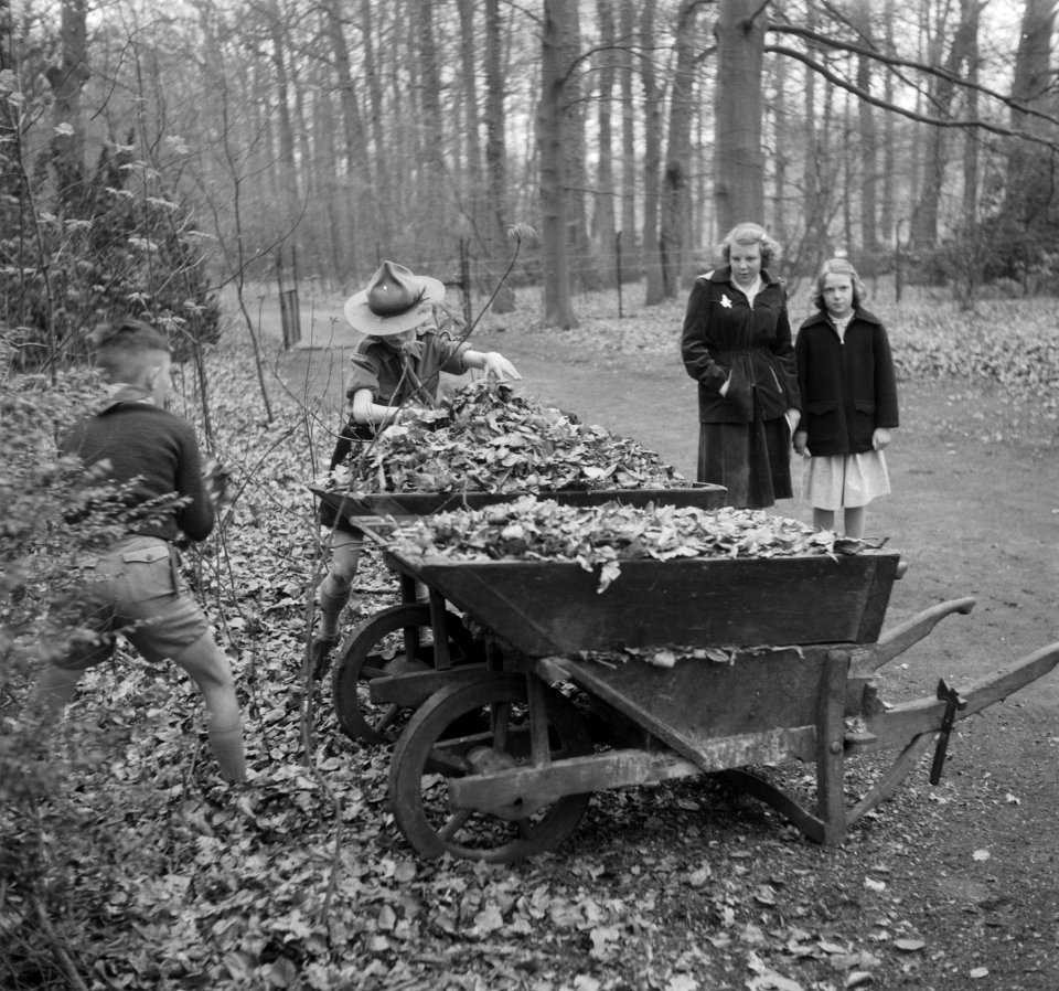 Soestdijk padvindersaktie Heitje voor een karweitje. Padvinders aan het werk, Bestanddeelnr 905-0524