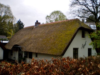 Soest Duinweg 47 De Egel 00