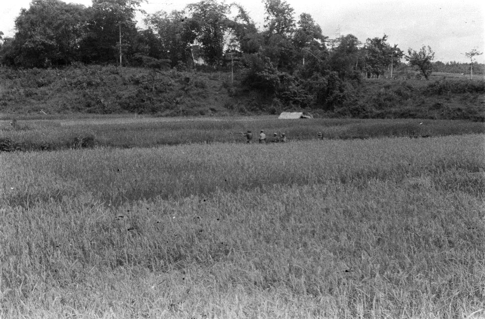 Soebang in Soebang heeft een aantal Indonesiers zich vrijwillig aangemeld om di, Bestanddeelnr 427-4-3