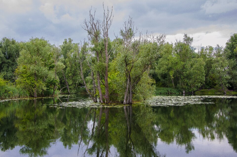 Lake landscape water