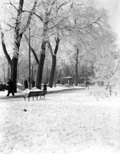 Sneeuwopname Frederiksplein, Bestanddeelnr 902-0596