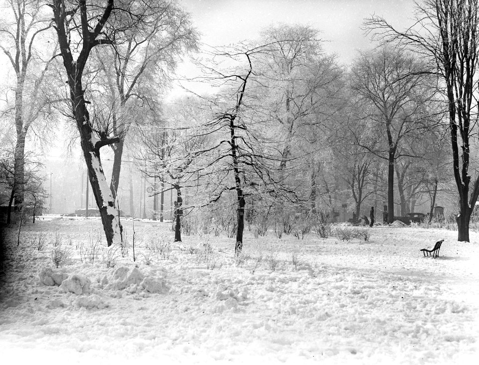 Sneeuwopname Frederiksplein, Bestanddeelnr 902-0597