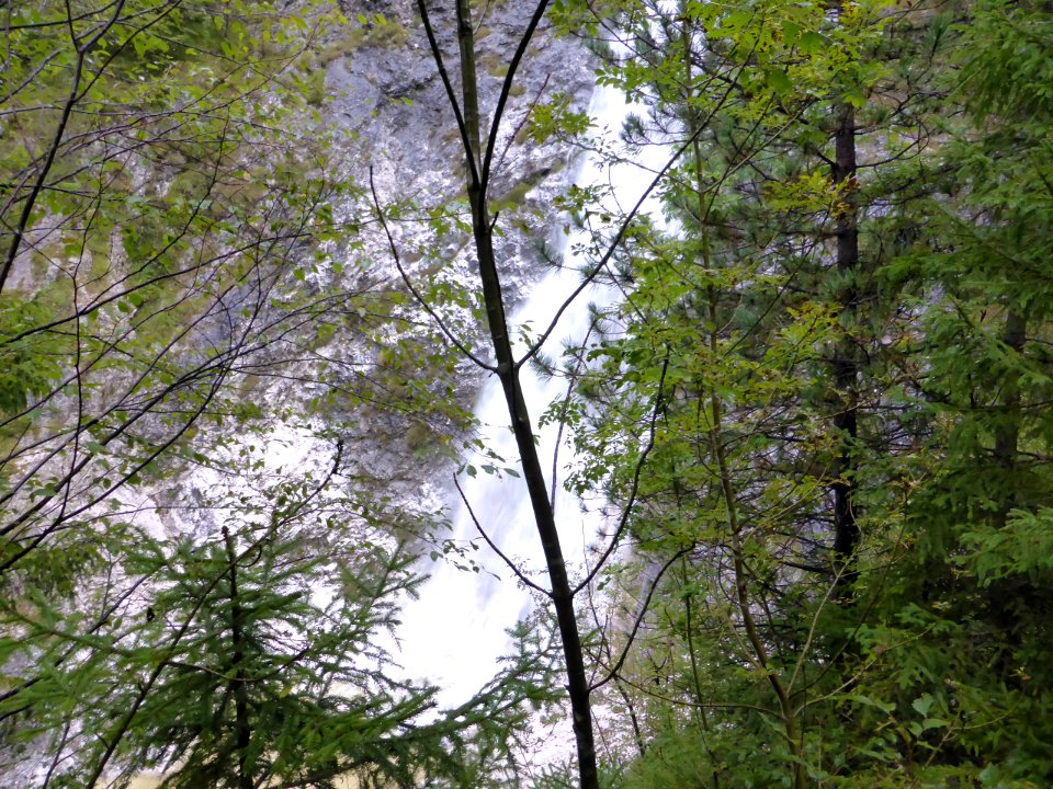 Soca-trail-49