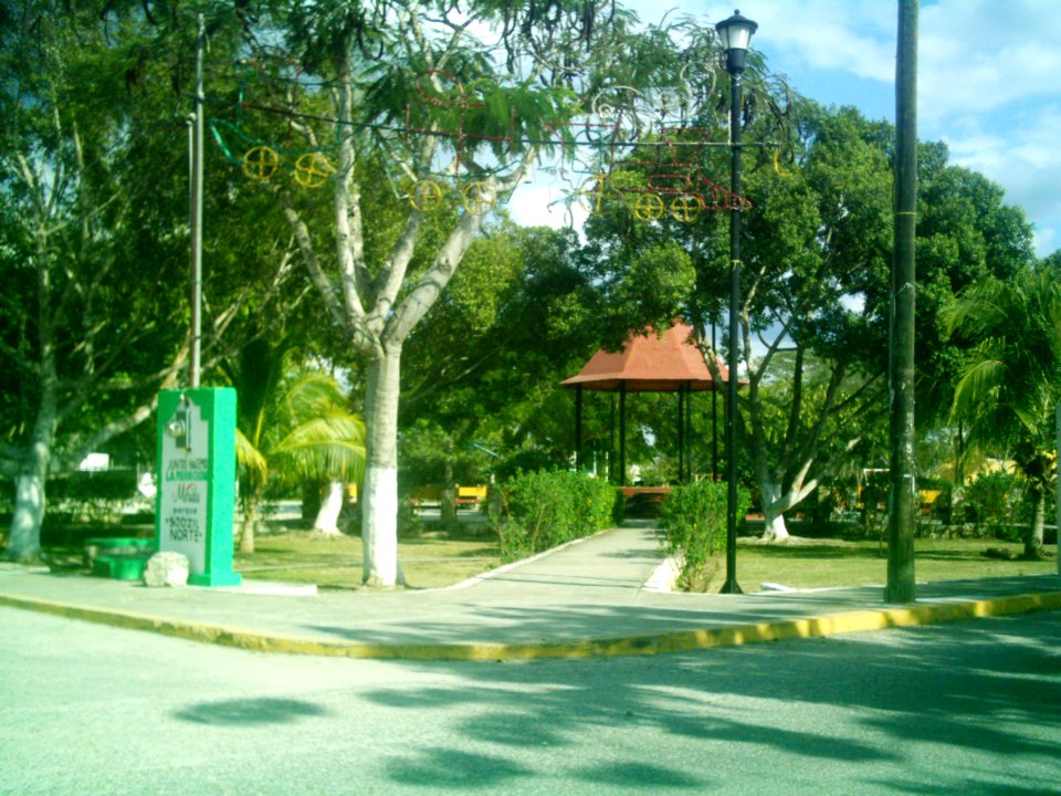 Sodzil Norte, Yucatán (01)