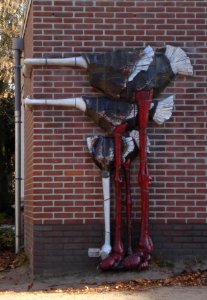 Soest kunstwerk drie struisvogels