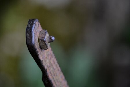 Old screw pin