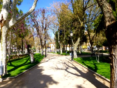 Socuéllamos - Parque Municipal 3