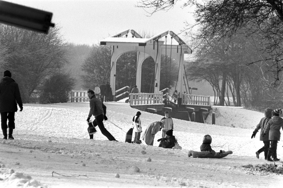 Sneeuwpret in Amsterdamse bos, Bestanddeelnr 931-8568