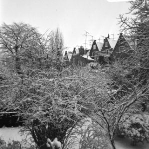 Sneeuwval. Struiken onder sneeuw, huizen op achtergrond, Bestanddeelnr 923-2579