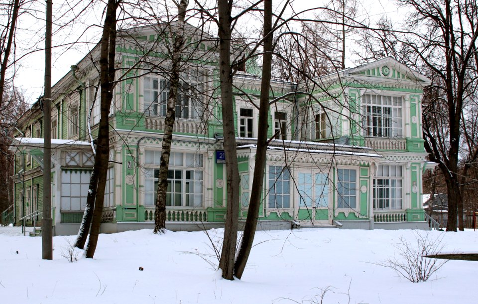 Sokolniki Lyamin house 2015 01
