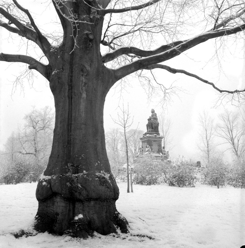 Sneeuw en ijzel in Vondelpark, Bestanddeelnr 906-2941