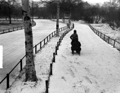 Sneeuw in het Vondelpark, Bestanddeelnr 903-1769