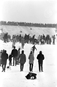 Sneeuw in Amsterdamse Bos wandelen door het besneeuwde bos, Bestanddeelnr 921-9761
