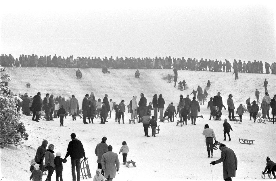 Sneeuw in Amsterdamse Bos drukte bij sleetje rijden, Bestanddeelnr 921-9763