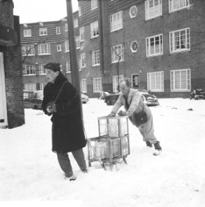 Sneeuw in Amsterdam, melkboer met slee, Bestanddeelnr 914-6629