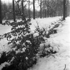Sneeuw rond de Moerdijk, Bestanddeelnr 901-5454