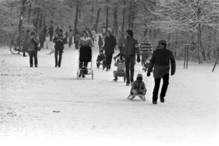 Sneeuwpret in Amsterdamse bos, Bestanddeelnr 931-8565