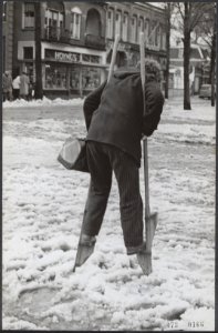 Sneeuw, steltlopers, Bestanddeelnr 073-0166