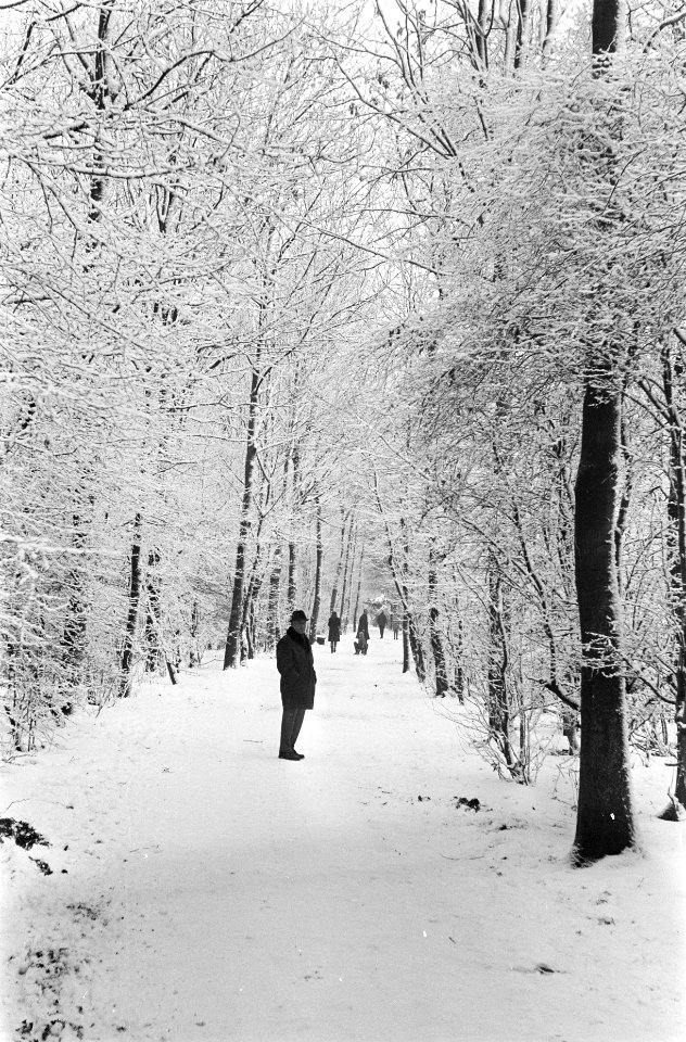 Sneeuw in Amsterdamse Bos wandelen door het besneeuwde bos, Bestanddeelnr 921-9760