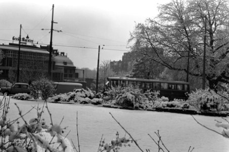 Sneeuw in Amsterdam. Autos in sneeuw, Bestanddeelnr 923-3150
