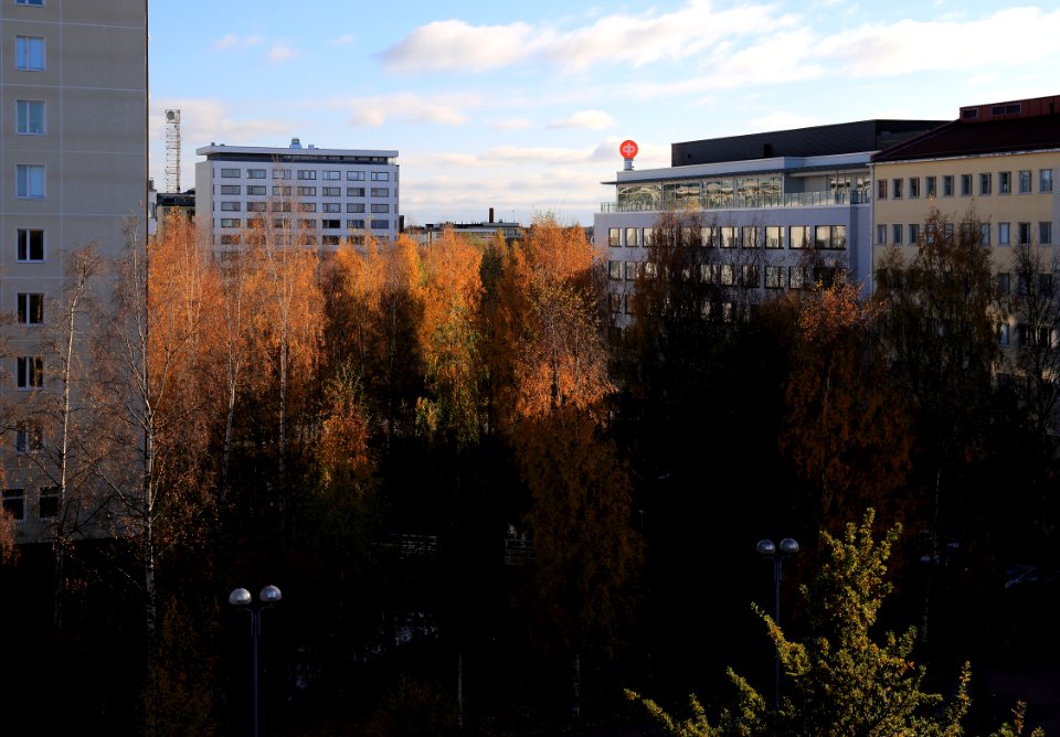 Snellman Park Oulu 20161008