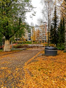 Snellman Park Oulu 20201008 02