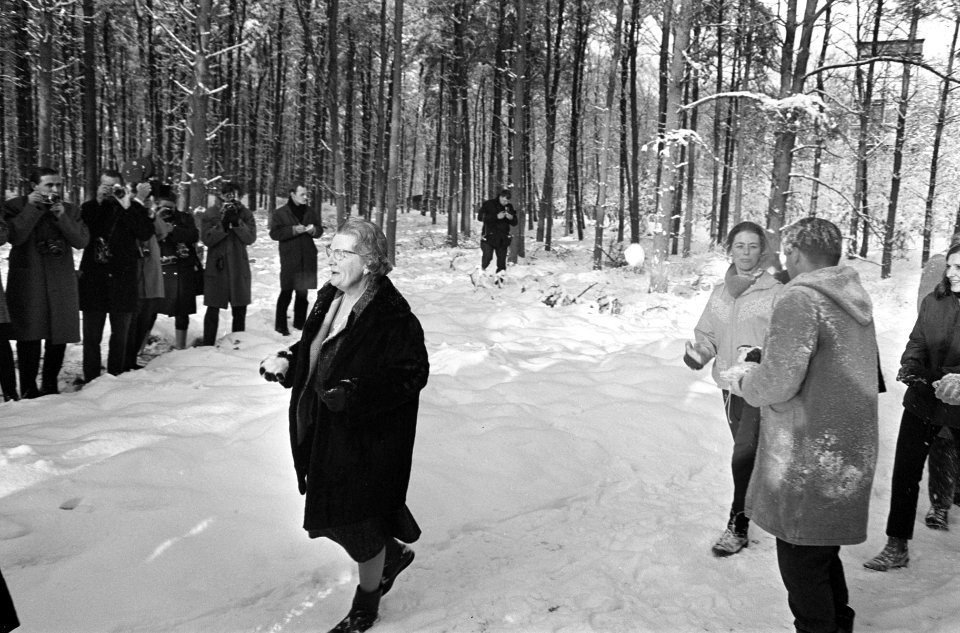 Sneeuwpret rondom Soestdijk, Bestanddeelnr 919-9553