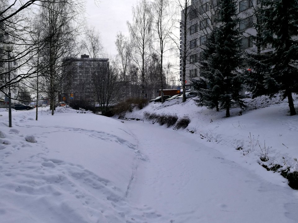 Snellman Park Oulu 20180302