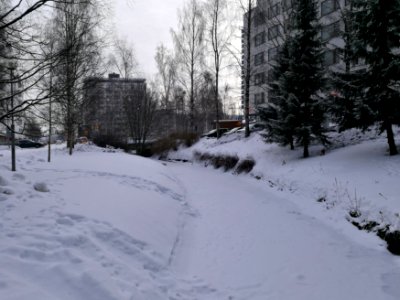 Snellman Park Oulu 20180302