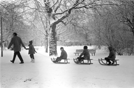 Sneeuwpret in Vondelpark vader trekt slee met kinderen, Bestanddeelnr 921-9754