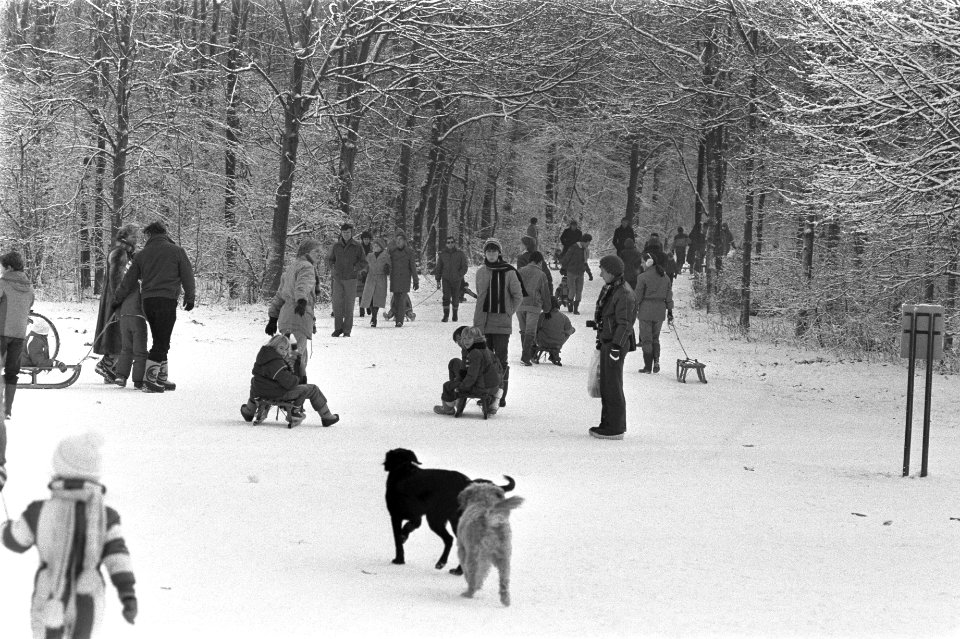 Sneeuwpret in Amsterdamse bos, Bestanddeelnr 931-8567