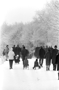 Sneeuw in Amsterdamse Bos wandelen door het besneeuwde bos, Bestanddeelnr 921-9762