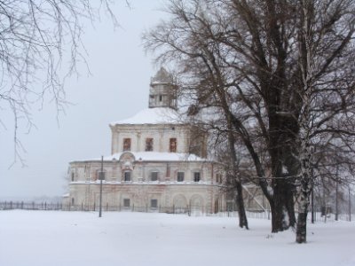 Solvychegodsk 10.01.2011 (25)