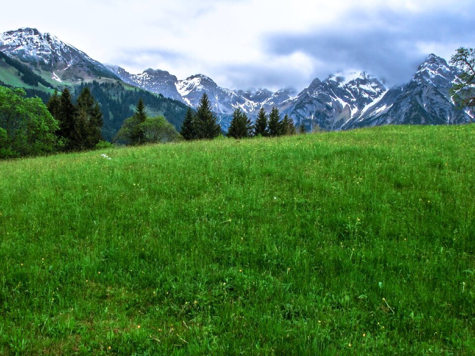 Kleinwalsertal meadow pasture