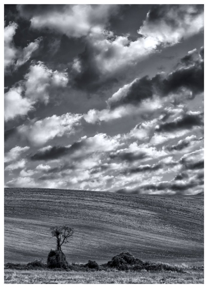 Solitude (182295863)