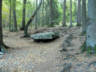 Solwaster-Dolmen (6)