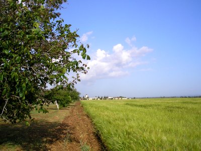 Solnechniy Sevastopol 3