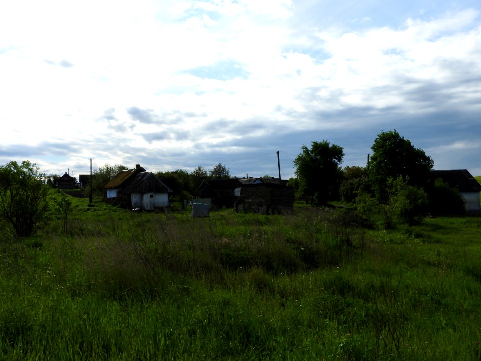 Sokolivka
